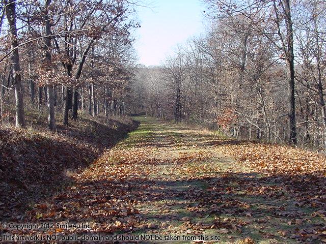 There were beautiful fall colors on the nicely treed land in Forbes Lake of the Ozarks subdivision in Benton County Missouri!